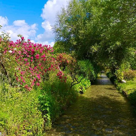 Aux Jolies Sources Bed and Breakfast Saint-Aubin-sur-Scie Eksteriør billede